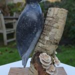 Woodpecker   Irish Blue Limestone