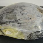 Turtle 2019  Ledmore Marble